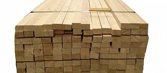 Czech Larch and Siberian Larch