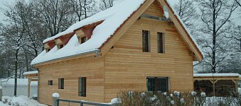 Czech Larch