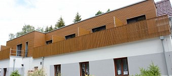 Thermo Pine