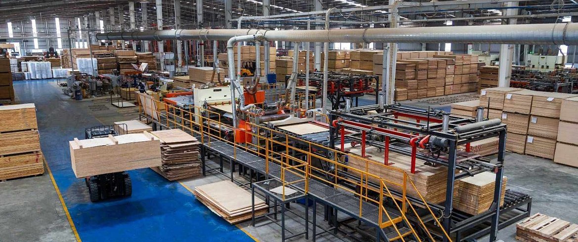 hevea-plywood-production-in-vietnam-au-mex-exclusivity-for-european-market