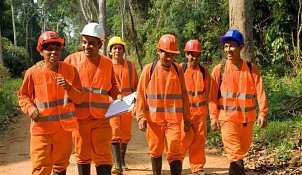 au-mex-staff-logging-in-the-forest