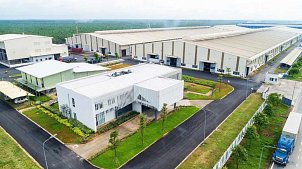 hevea-plywood-production-in-vietnam-au-mex-exclusivity-for-european-market